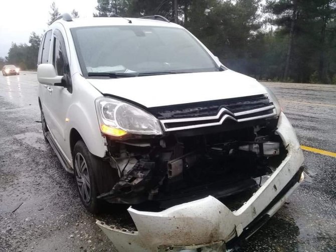 Otomobil domuza çarptı "domuz telef olurken, araçta maddi hasar meydana geldi"