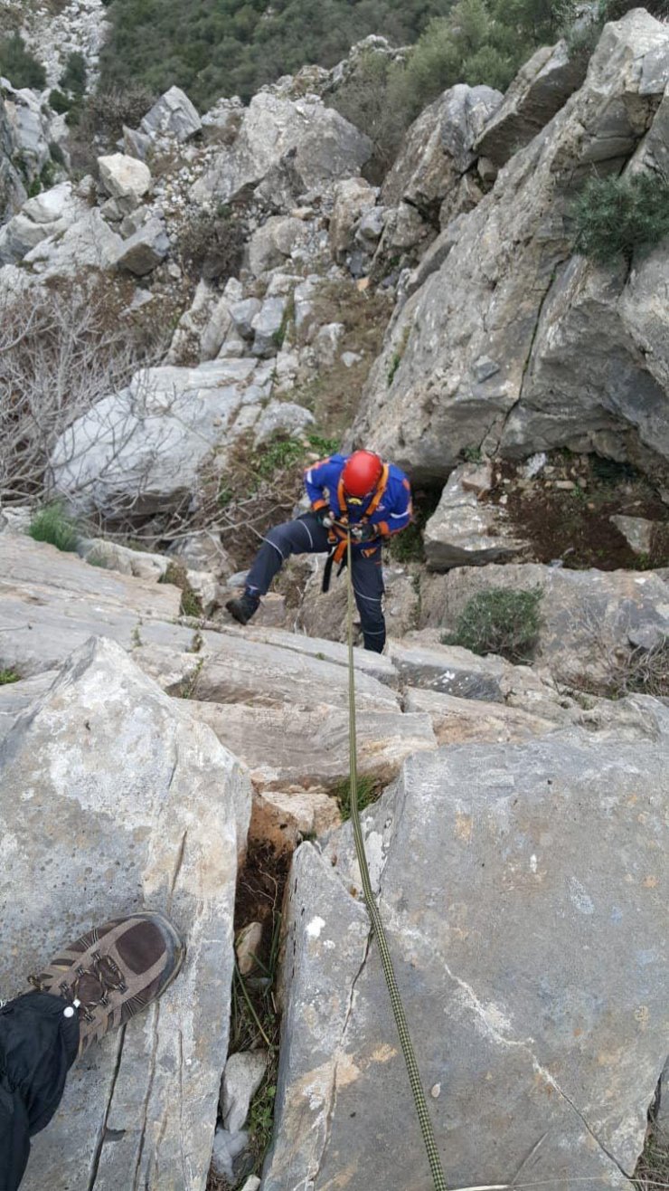 AYDIN'ın Söke ilçesinde kayalıklarda mahsur kalan keçi, AFAD ekiplerince kurtarıldı