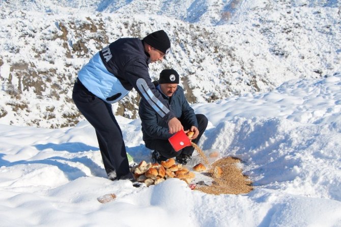 Sungurlu Belediyesi soğuk hava ve karda sokak hayvanlarını unutmadı