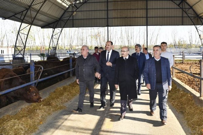 Vali Demirtaş: "Adana’da, ürün çeşitliliği ve üretim kapasitesinin artmasını hedefliyoruz"