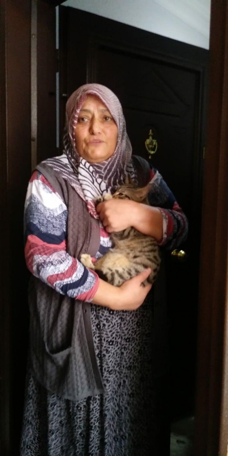 4.Kattan havalandırma boşluğuna düşen yavru kediyi itfaiye kurtardı