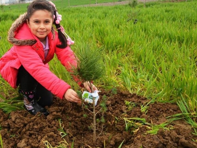 Tekirdağ’da ücretsiz fidan dağıtılacak