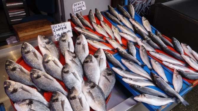Trabzon'da balık avının sonu yaklaştıkça balık tezgahları boş kalmaya başladı.