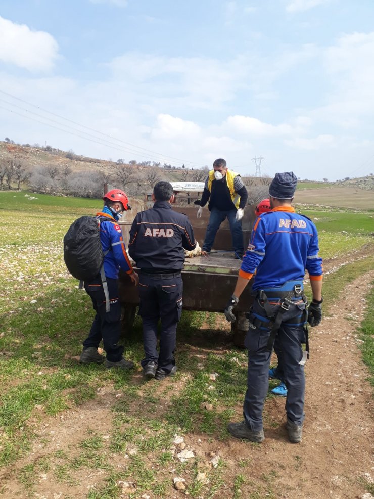 DİYARBAKIR'ın Çermik ilçesinde Kayalıklarda mahsur kalan köpek kurtarıldı