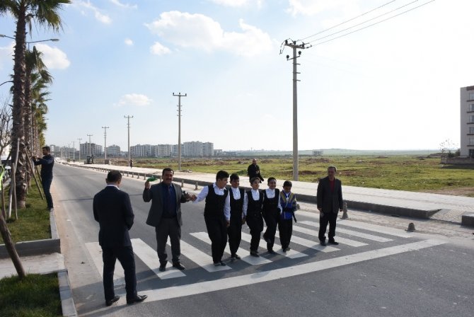 Nusaybin'de farkındalık programı "Yaya geçidinde halay çektiler"