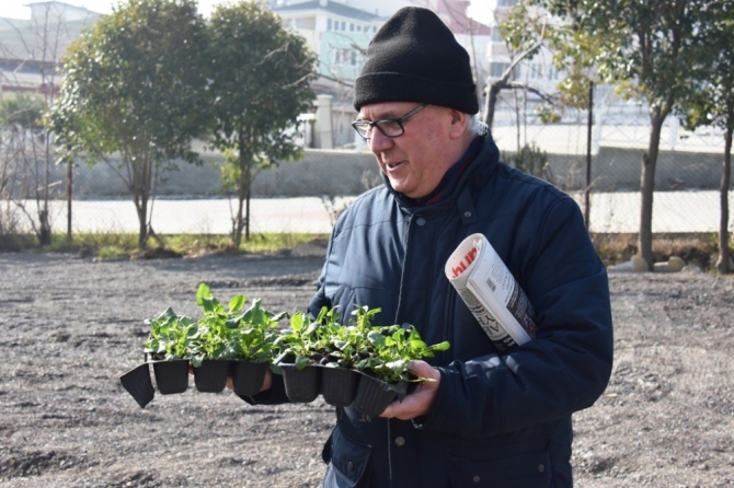 Ücretsiz fidan ve çiçek dağıtımına yoğun ilgi