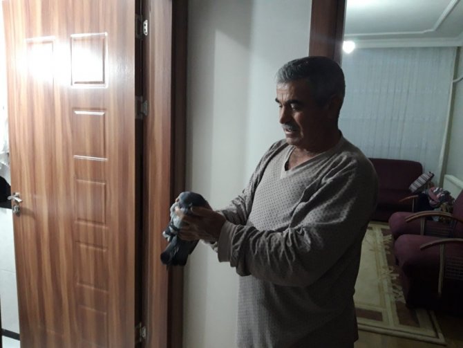 Adıyaman'da Havalandırma boşluğunda mahsur kalan güvercin kurtarıldı