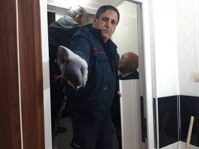 Adıyaman'da Havalandırma boşluğunda mahsur kalan güvercin kurtarıldı