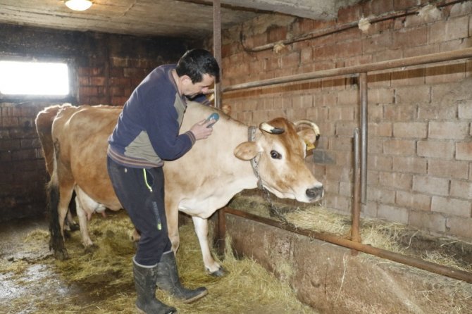 Engin Zaman,: "Bütün mal varlığım 2 inek, 1 tosun, 1 buzağı, 1 köpek, 3 kedi ve kitaplarım"