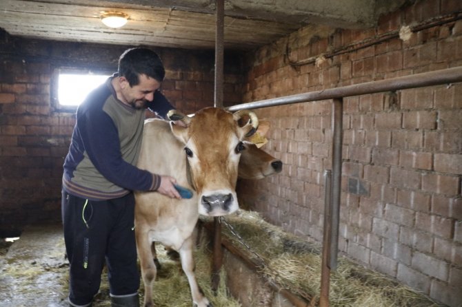 Engin Zaman,: "Bütün mal varlığım 2 inek, 1 tosun, 1 buzağı, 1 köpek, 3 kedi ve kitaplarım"