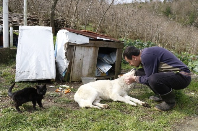 Engin Zaman,: "Bütün mal varlığım 2 inek, 1 tosun, 1 buzağı, 1 köpek, 3 kedi ve kitaplarım"