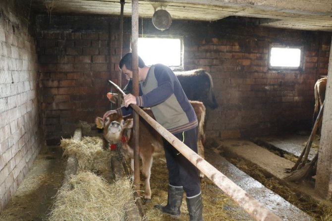 Engin Zaman,: "Bütün mal varlığım 2 inek, 1 tosun, 1 buzağı, 1 köpek, 3 kedi ve kitaplarım"
