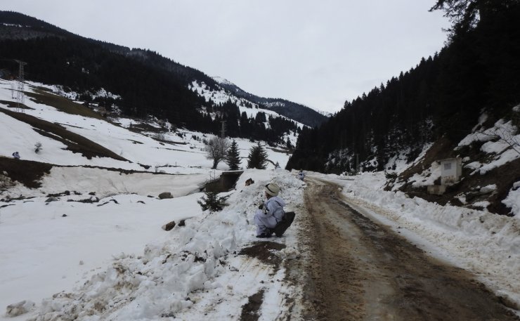Gümüşhane'de yayla evleri didik didik aranmaya devam ediliyor
