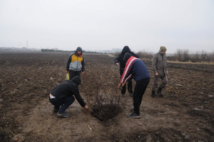 Kırklareli'de çiftçinin tesadüfen bulduğu tarihi su tünelleri, arkeolojik SİT alanı ilan edildi