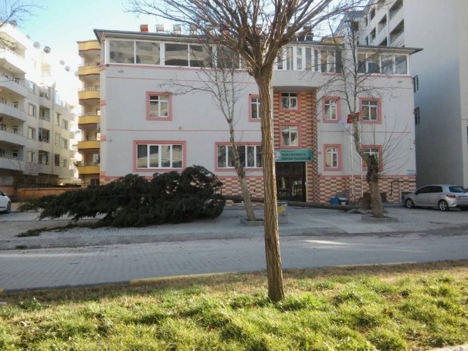 Kahramanmaraş'ın Pazarcık ilçesinde Fırtınanın devirdiği ağaç otomobilin üzerine düştü