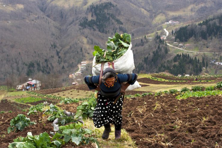 Karadenizli kadınlar, her mevsim çalışkan ve güçlü