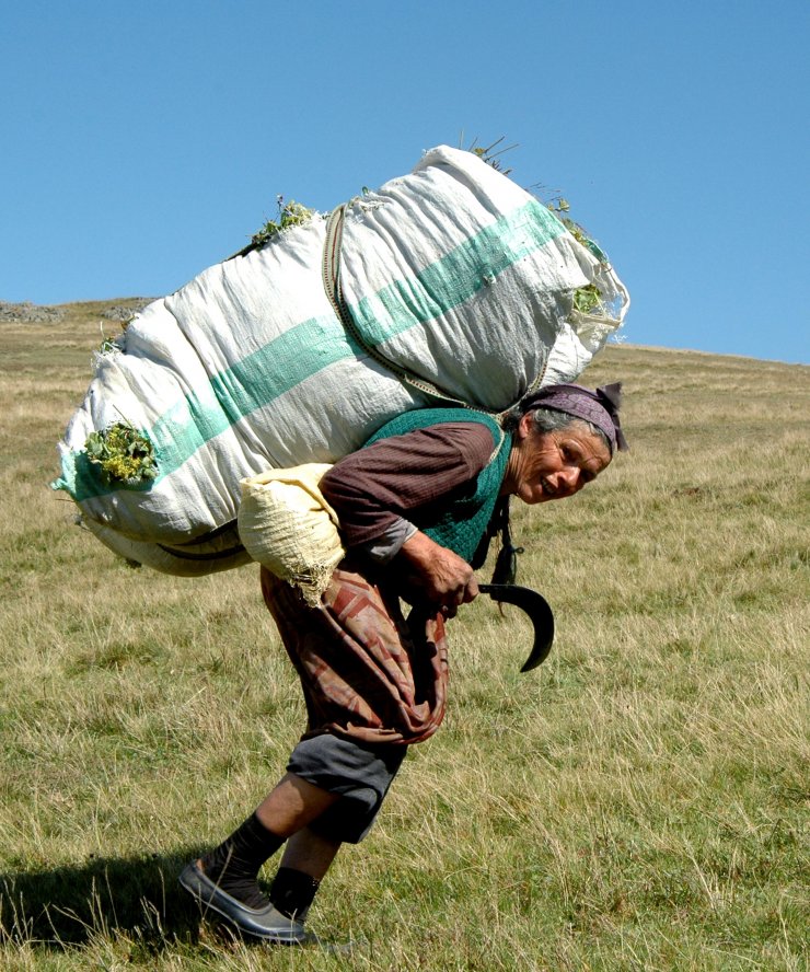Karadenizli kadınlar, her mevsim çalışkan ve güçlü