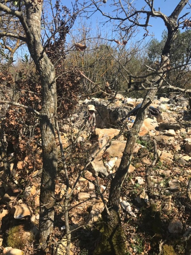 Bursa'nın Orhangazi ilçesinde Jandarma definecilere göz açtırmıyor