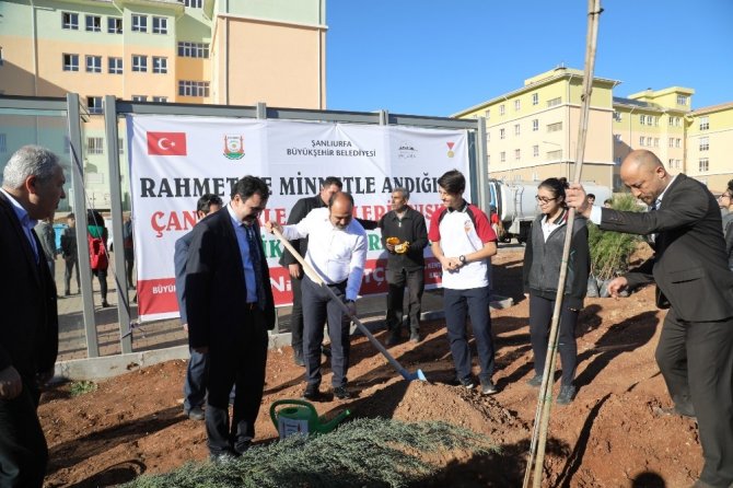 Çanakkale şehitleri olmak üzere tüm şehitler adına fidan dikim seferberliği başlatıldı