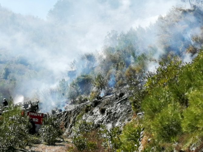 Muğla'nın Fethiye ilçesindeki iki ayrı ormanlık alanda çıkan yangında, 2 dönüm alan zarar gördü