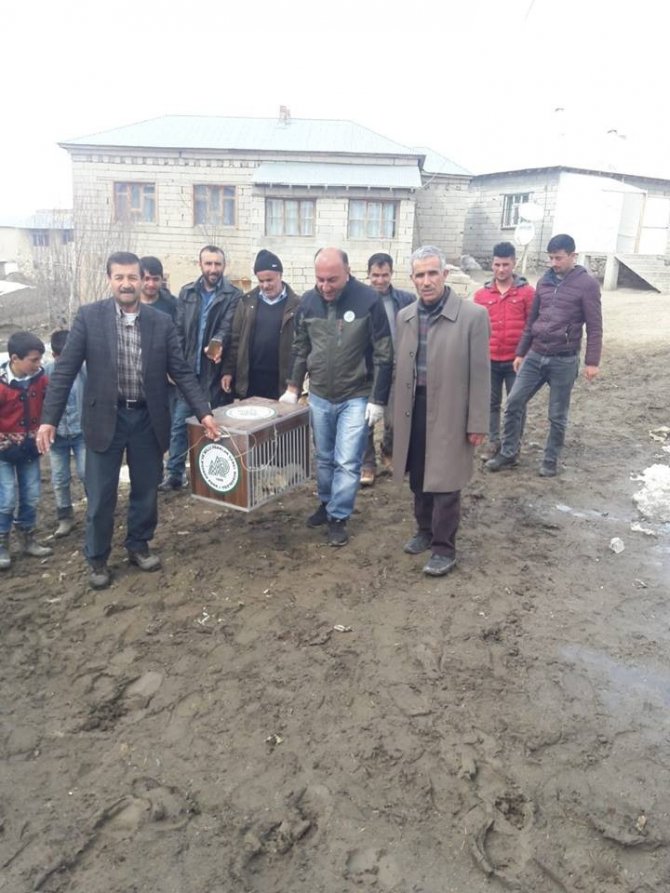Van'ın Saray ilçesinde vatandaşlar tarafından yaralı olarak bulunan Tilki, tedavi altına alındı.