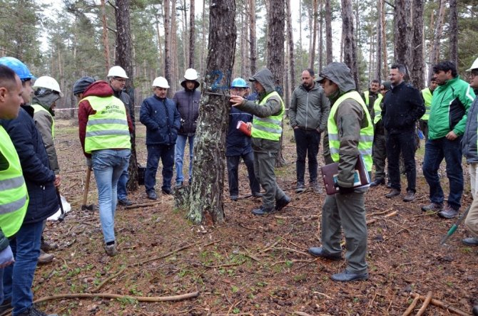 Kayseri Orman Bölge Müdürlüğü Tatbikat Düzenledi