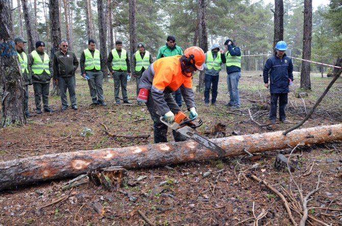 Kayseri Orman Bölge Müdürlüğü Tatbikat Düzenledi
