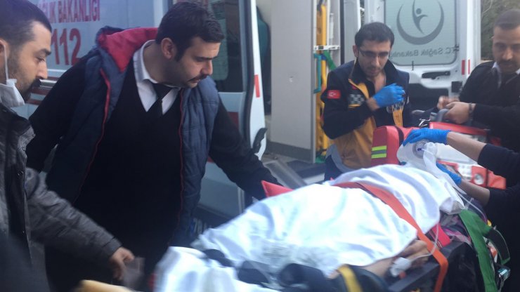 karabük'te Orman işçilerinin üzerine ağaç devrildi: 1 ölü, 1 yaralı