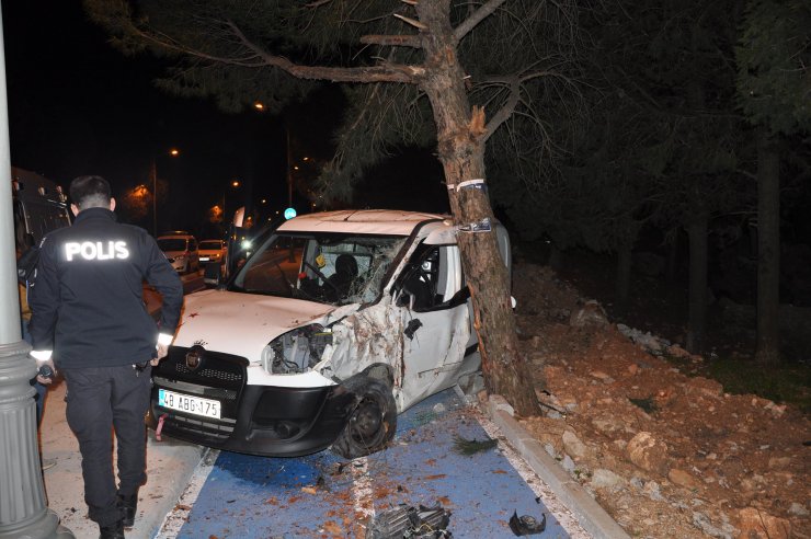 Muğlada,Köpeğe çarpmamak için kaza yaptı