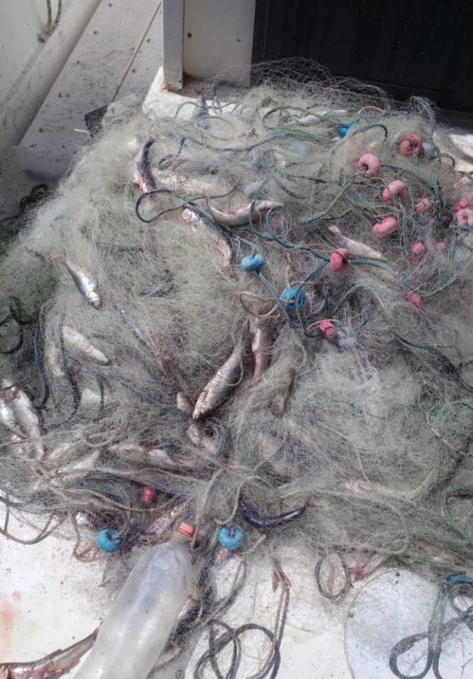 Van'ın İpekyolu ilçesinde kaçak avlanmış 100 kilo inci kefali ele geçirildi