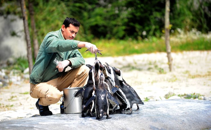Bursa'da baharın gelmesiyle Hayvanat bahçesine ziyaretçi akını