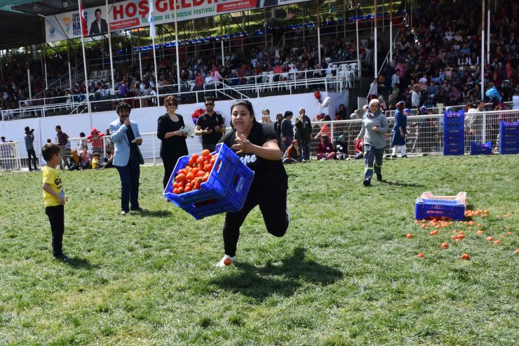 Festivalde Kadınlar domates kasası taşıdı, halat çekip yarıştı