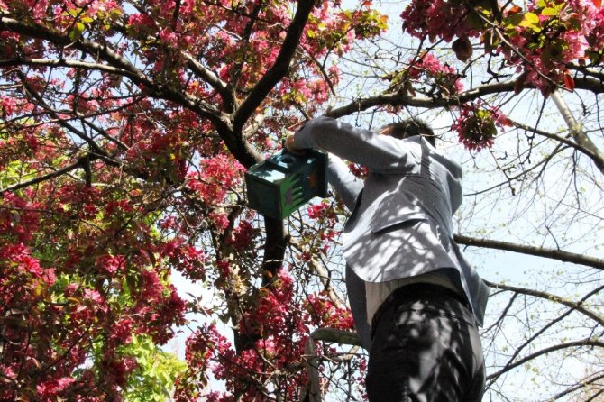 Şehit Erdem Öztürk Anaokulu öğrencileri sokak hayvanlarını unutmadı
