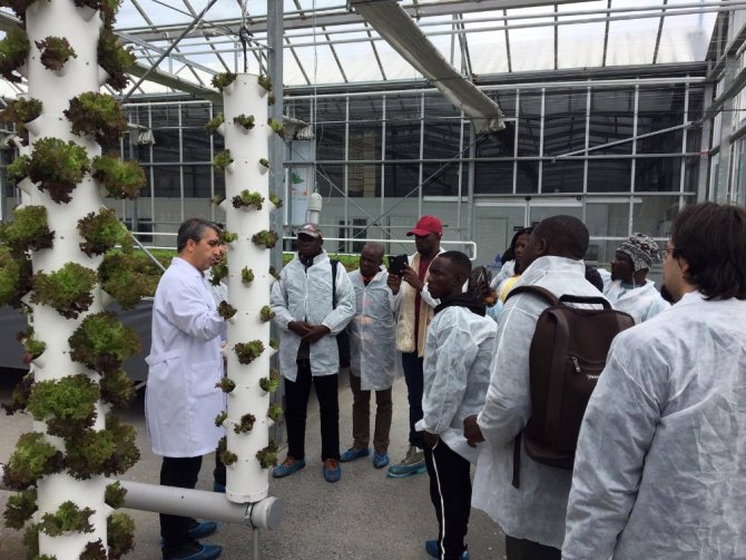 TİKA, Gana-Akra ve Liberya-Paynesville Belediyesi çalışanlarına park ve bahçecilik eğitimi verdi