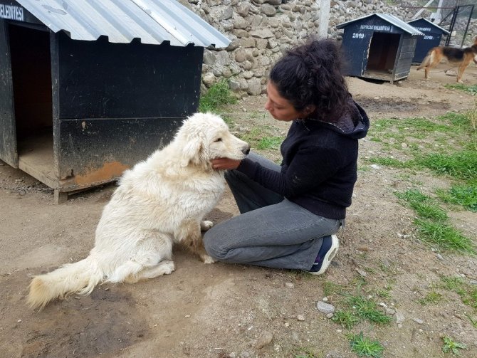 Pınar Şenal Hayatını sokak hayvanlarına adadı