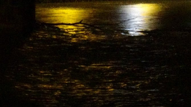 Bir kadının Dicle nehrine atlayarak intihar ettiği iddiası