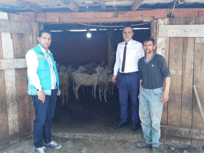 Kütahya'nın Simav ilçesine iki genç çiftçiye hibe koyun desteği