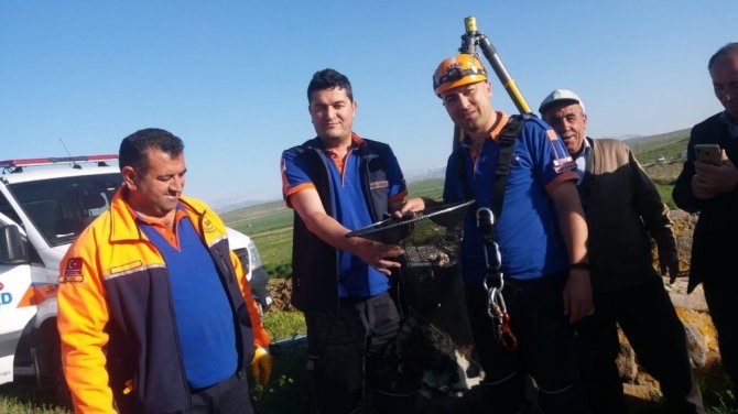 Pınarcık köyünde 7 metrelik su kuyusuna düşen kedi kurtarıldı