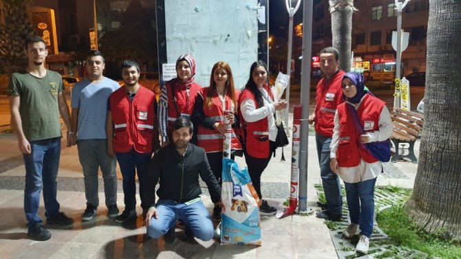 Balıkesir'in Edremit ilçesinde Genç Kızılaycılar sokak hayvanlarını unutmadı