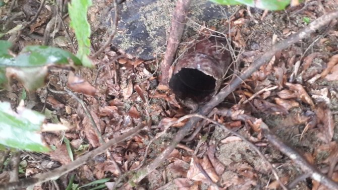 Eren Bülbül’ün şehit eden hain 12 şehit verilen silahlı eyleme de karışmış