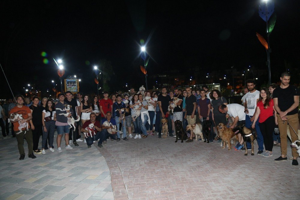 Evcil hayvan giremez yasağının olduğu Millet parkına köpekleri ile girerek yasağı protesto ettiler