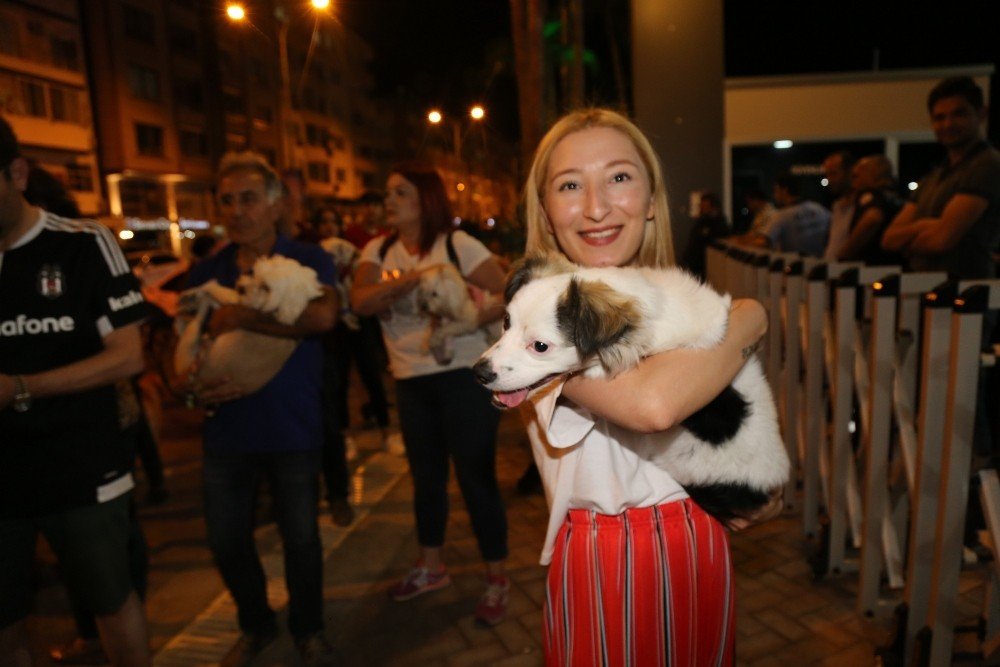Evcil hayvan giremez yasağının olduğu Millet parkına köpekleri ile girerek yasağı protesto ettiler