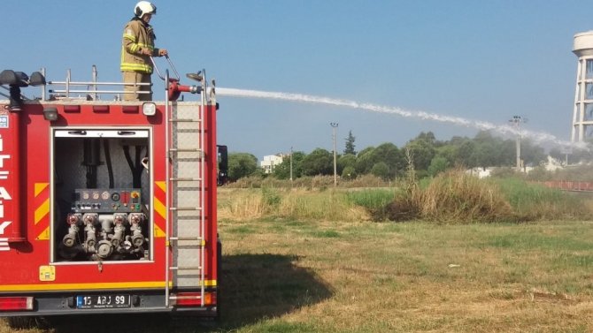 Burhaniye ilçesinde, Bahçelievler Mahallesi ot yangını korkuttu