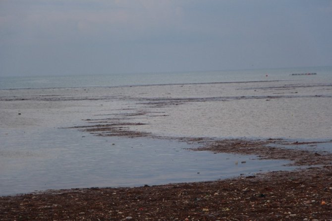 Trabzon çamura bulandı!