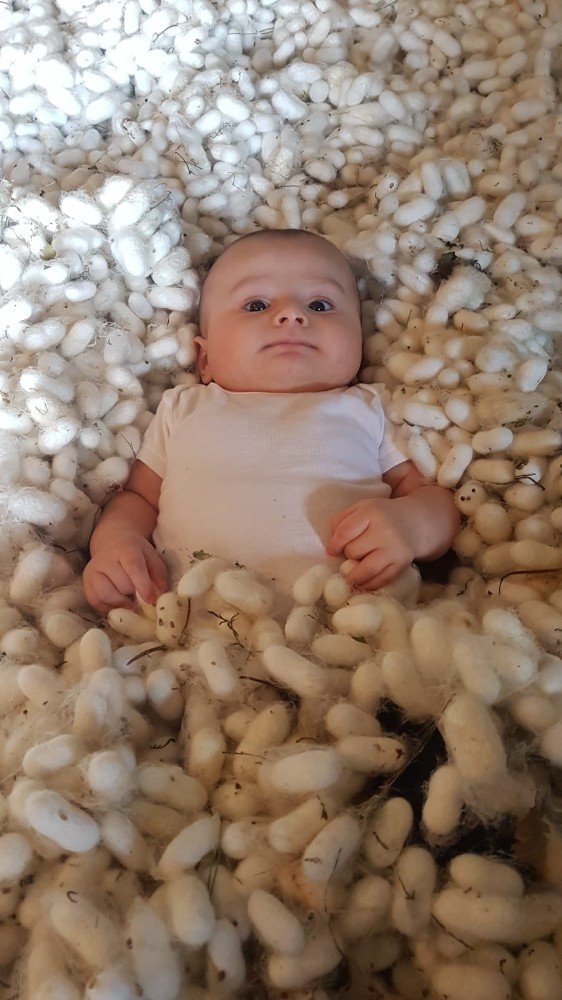 Köylüler çareyi ipekböceğinde buldu