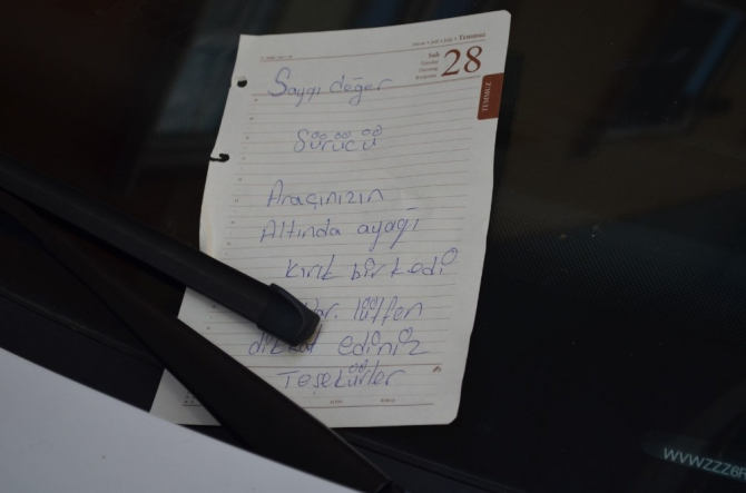 Yaralı kedi için bu notu bıraktı