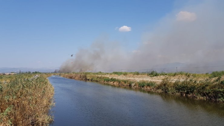GÜNCELLEME 2 - Edremit Körfezi'nde sazlık alanda yangın