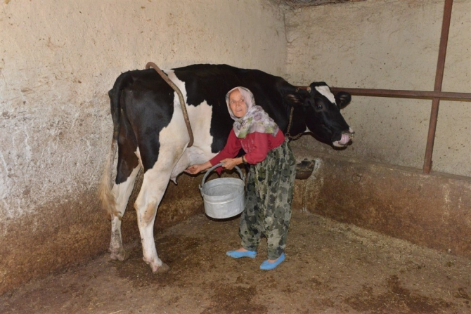 Mersin Orman Bölge Müdürlüğünden 129 aileye 3,5 milyon lira ORKÖY kredisi