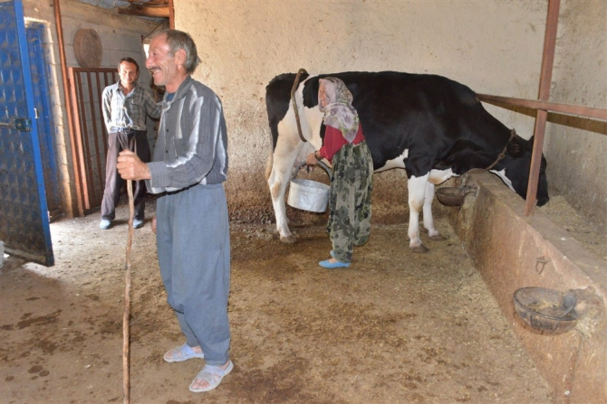 Mersin Orman Bölge Müdürlüğünden 129 aileye 3,5 milyon lira ORKÖY kredisi