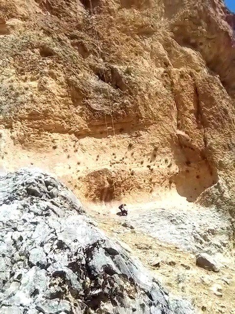 Sincik'de Kayalıklarda mahsur kalan keçileri AFAD kurtardı